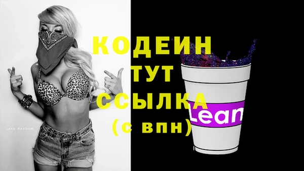 амф Костерёво