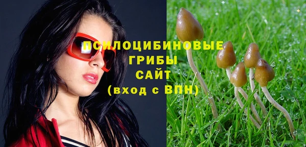 амф Костерёво