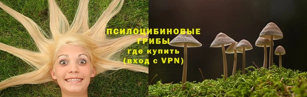 амф Костерёво