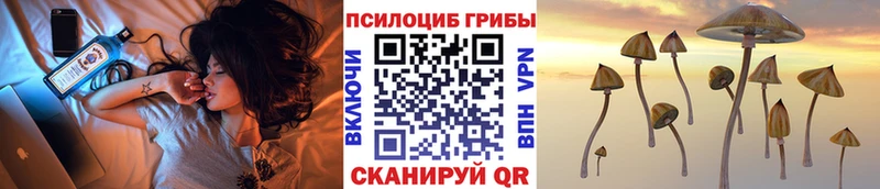 Галлюциногенные грибы GOLDEN TEACHER Купить закладки Чернушка