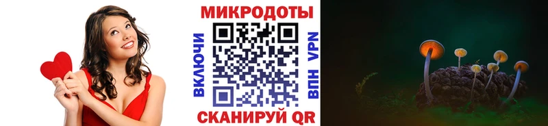 Галлюциногенные грибы мухоморы Чернушка