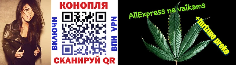 Канабис White Widow Чернушка