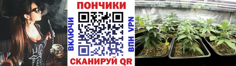 Бошки Шишки гибрид  Купить где  Чернушка 